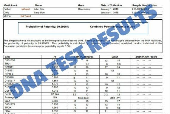 how long does a dna test results take