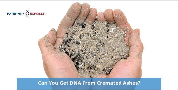 dna testing cremated bones